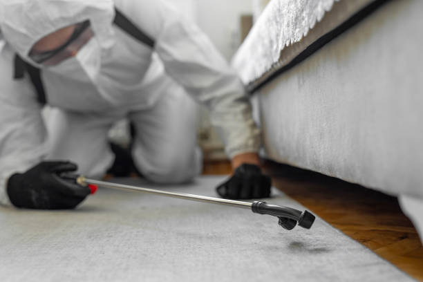 Professional Bed Bug Control technician working in Plymouth, WI