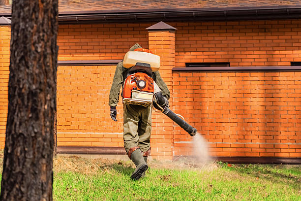 Trusted Cockroach Control service in Plymouth, WI - Nex Pest Control